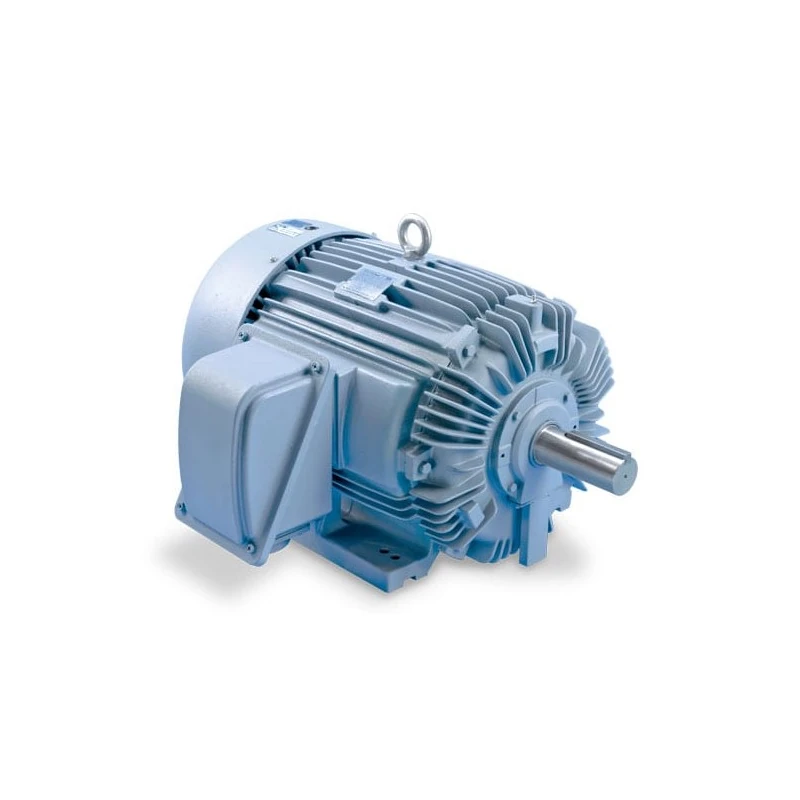 024-34446-000 - Motor 60 HP 575-3-60 by York