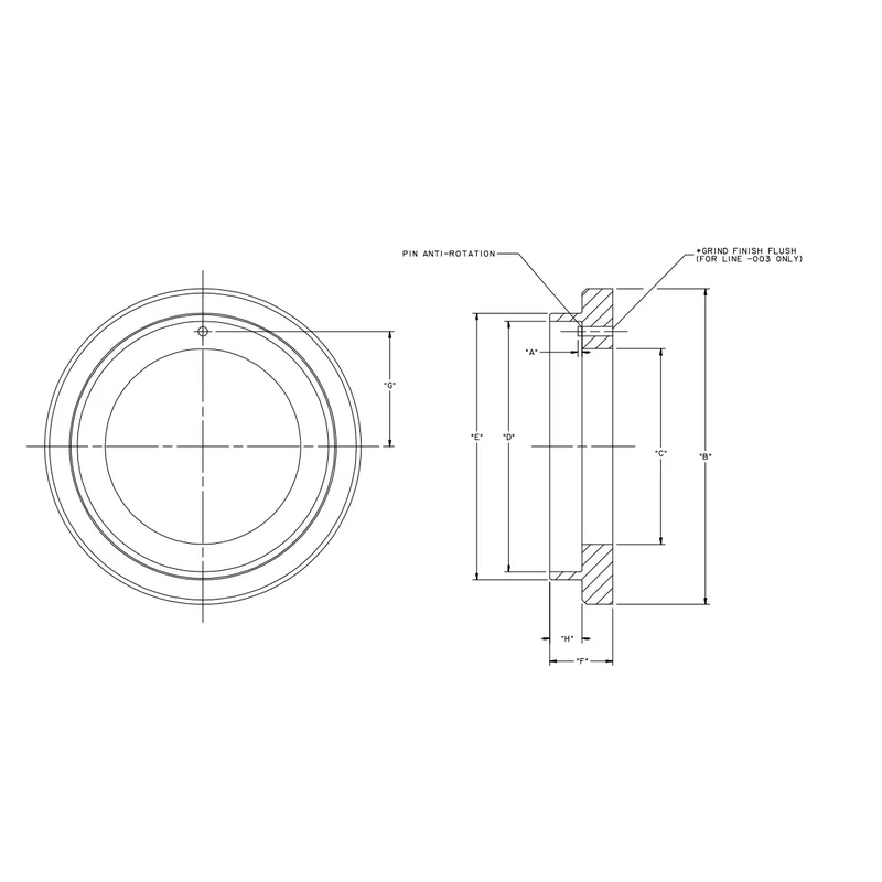 029-22950-001 - Plate Back Lip Seal 163 mm by York