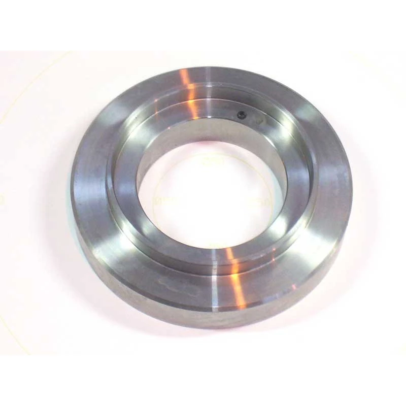 029-22950-002 - Plate Back Lip Seal 193 mm by York