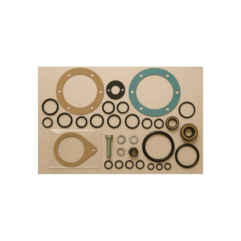 366-94952-216 - Pm YK F/G Kit by York