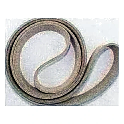 028-08778-004 - Rd Gasket 22 OD x 20-1/8 by York