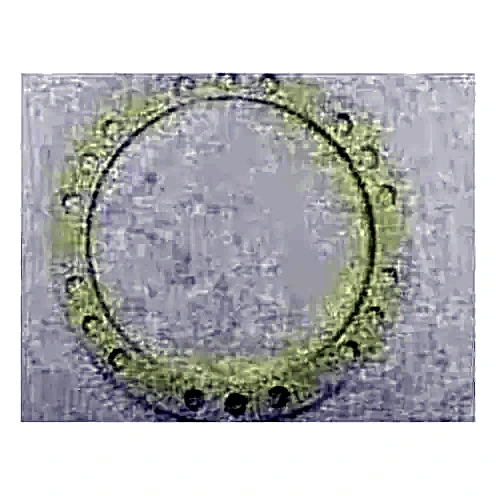 028-13745-001 - Gasket Shaft Seal 1 16 by York