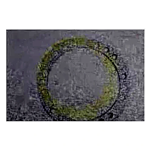 028-13745-002 - Gasket Shaft Seal 1 32 by York