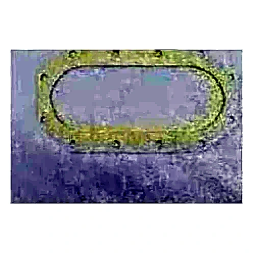 028-13779-000 - Casing Harrison Cooler Gasket by York