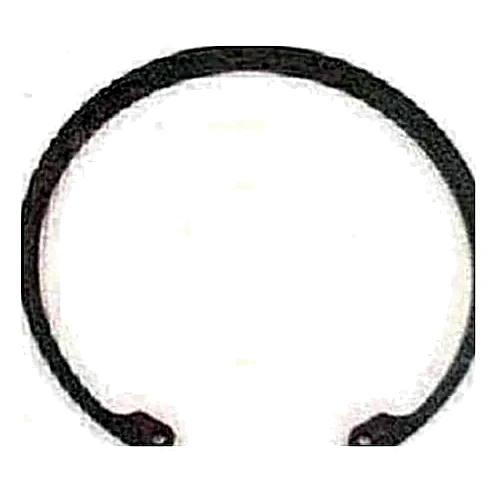 029-08600-000 - Ring Retaining Int by York
