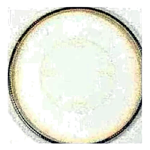 029-22766-000 - C-Ring 233 mm by York
