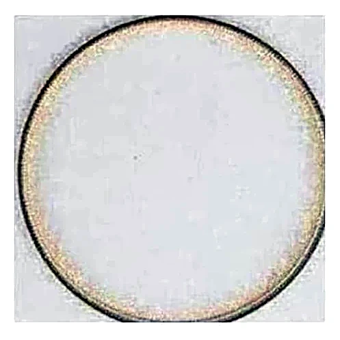 029-22767-000 - C-Ring 283 mm by York