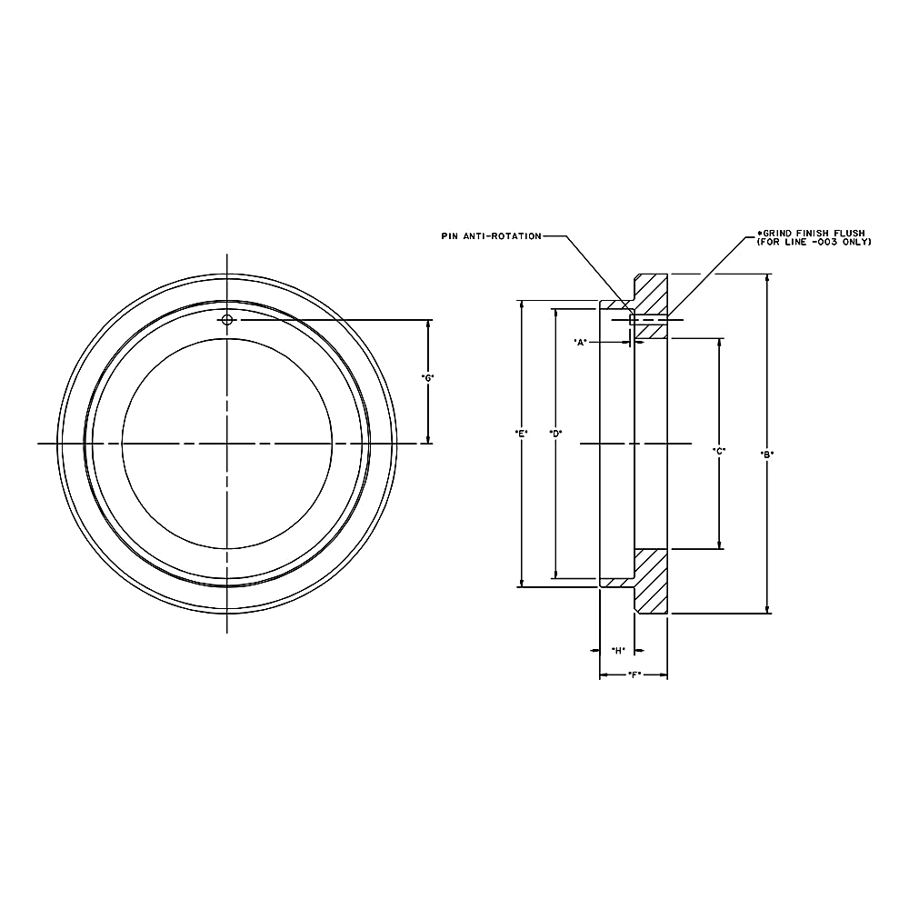 029-22950-001 - Plate Back Lip Seal 163 mm by York