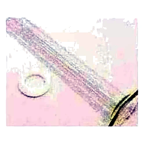 044-02982-000 - Cylinder by York