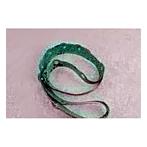 064-11803-000 - GASKET1/32 x 20-3/8 x 20-3/8 by York