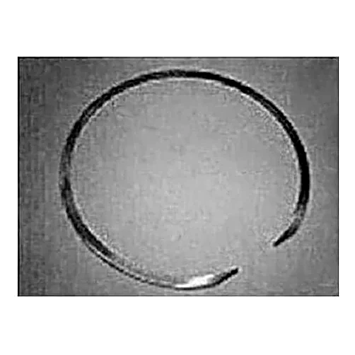 064-12756-008 - Ring R 123 X10 1 16 X10 1 16 by York