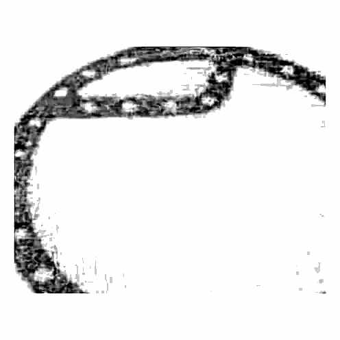 064-20572-000 - GASKET1/16 x 28-1/2 x 28-1/2 by York