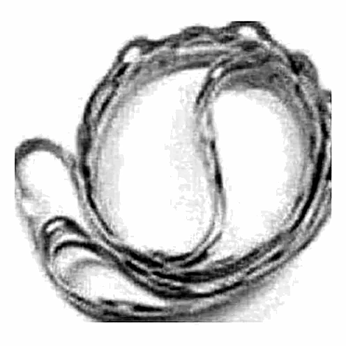 064-46999-000 - DFSR Plate Scrl Gasket by York