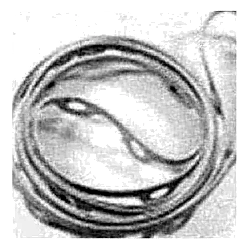 064-47451-000 - Diffuser Gasket Plate by York