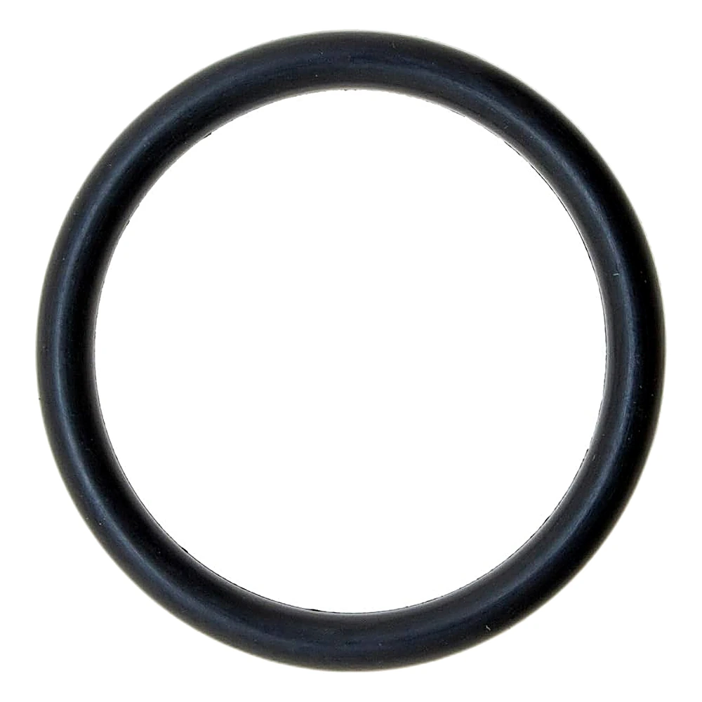 064-57717-000 - Ring Eye Seal by York