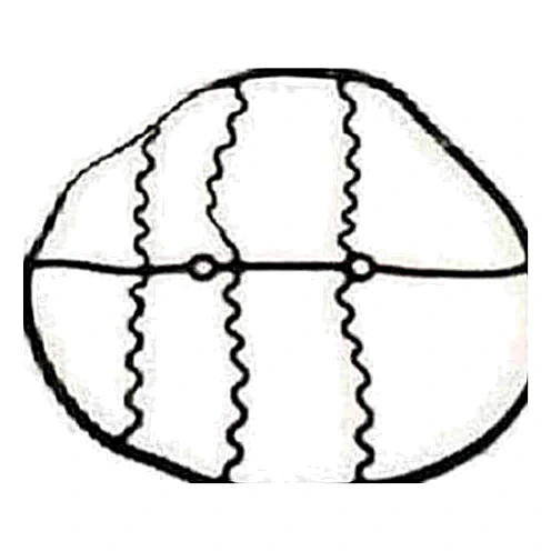 066-92899-000 - Baffle Gasket by York