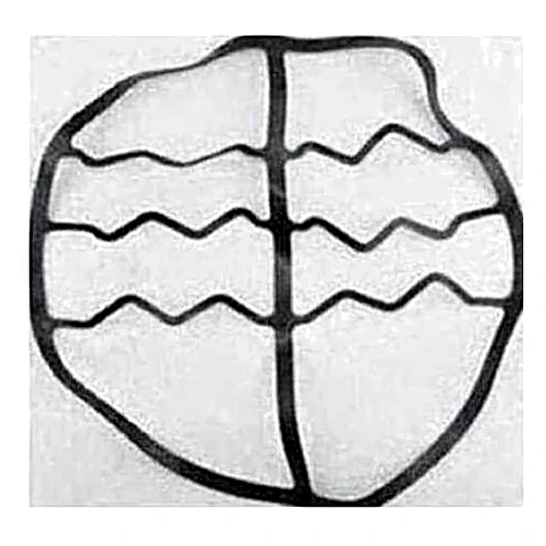 075-38118-000 - Baffle Gasket by York
