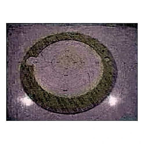 081-03767-000 - Gasket Sleeve Seal by York