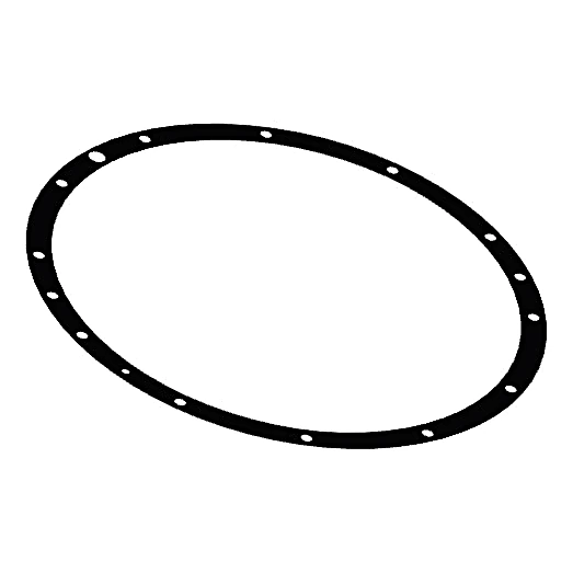 081-05634-000 - Gasket Seal Ring Housing 38 by York