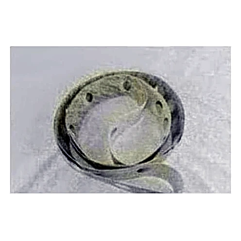 081-05699-000 - Gasket by York
