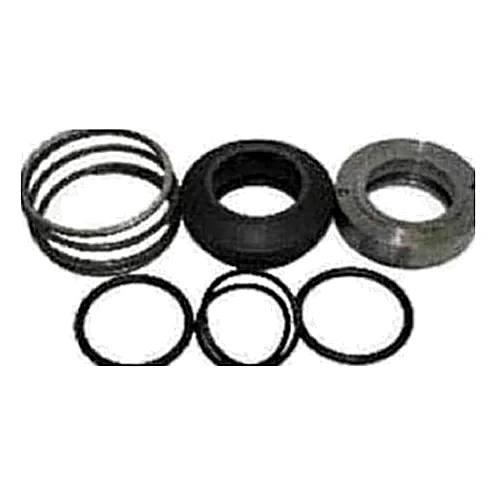 464-46874-000 - Kit Seal Shaft by York