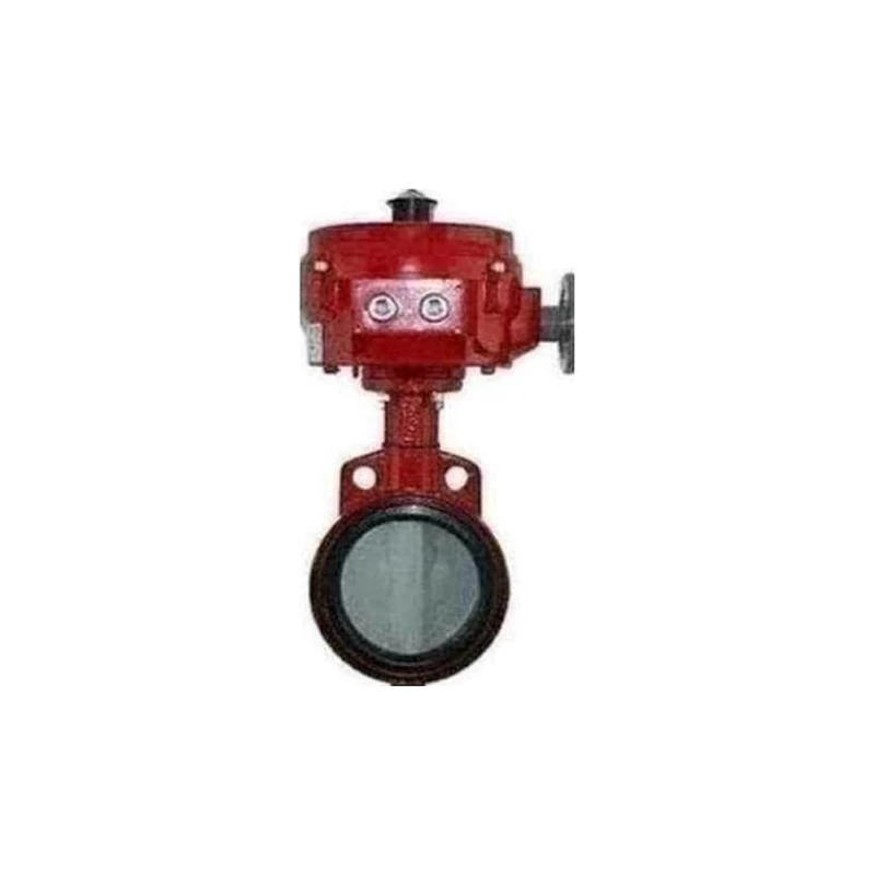 022-13035-000 - Assembly Ssv 5 Inch Valve &actuator by York