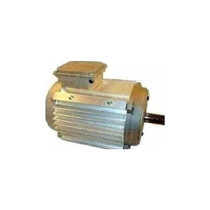 024-36874-004 - 3 HP Teao Motor by York