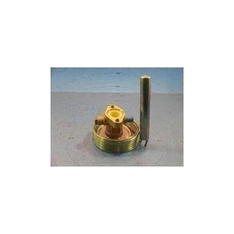 025-15823-000 - Valve Expn Thermal Power Assembly by York