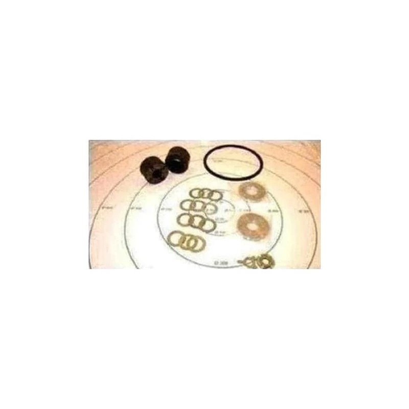 026W51223-001 - Kit Maintenance Refrig Pump by York