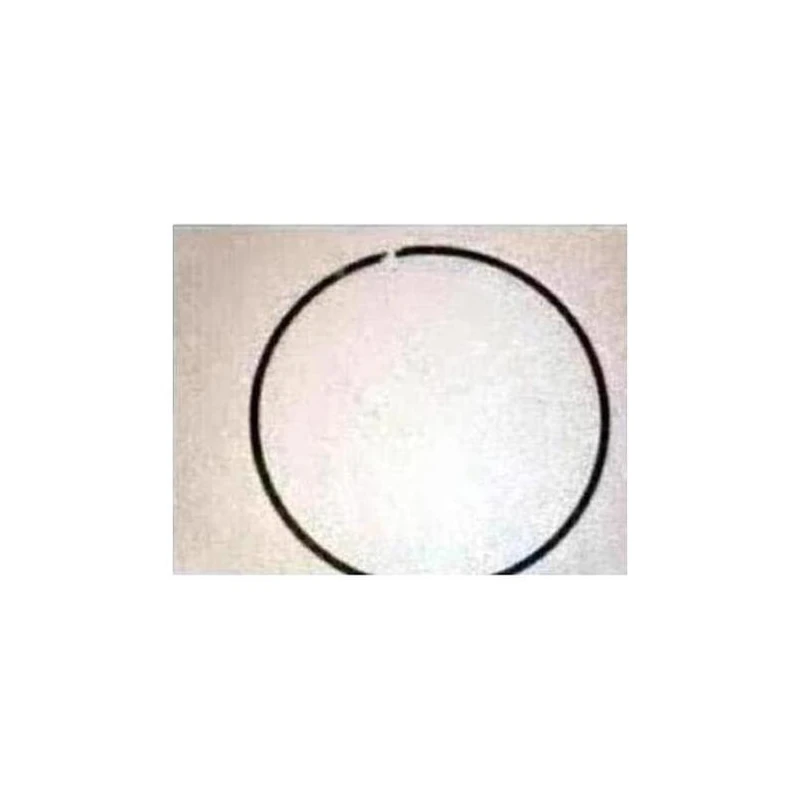 029-07961-000 - Ring Piston Compressor Step Seal by York