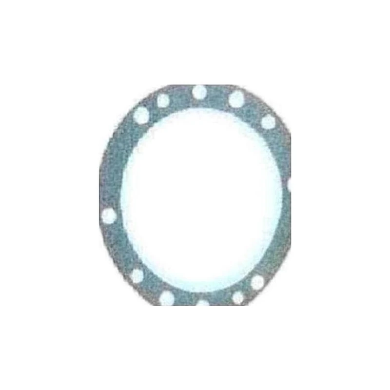064-16171-000 - Gasket 8 1 16 8 1 16 005 by York
